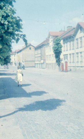 h14195xspinnmstareg_28_nr8_grdajohans.jpg
