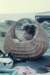 r16196xkristina_hermansson_small.jpg
