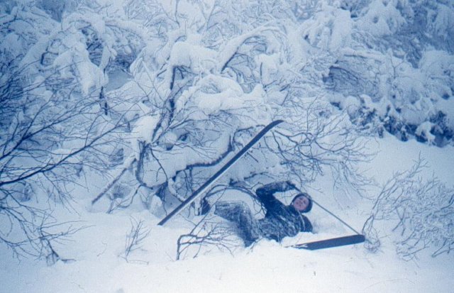 r9195xingvar_mattiasson.jpg