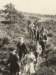 sc10hassungared1955_2_small.jpg