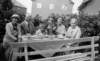ga0731935sdragubberogatan_10_small.jpg