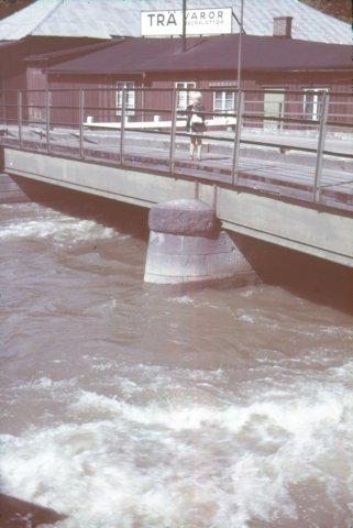 aodia1551961dmmebronflicka.jpg