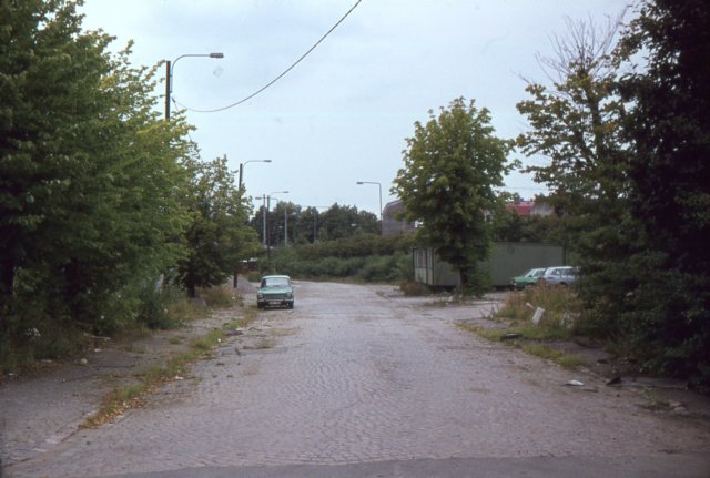 aodia1901977spinnmstareg_mot_torget6an_th_vid_bodarna.jpg