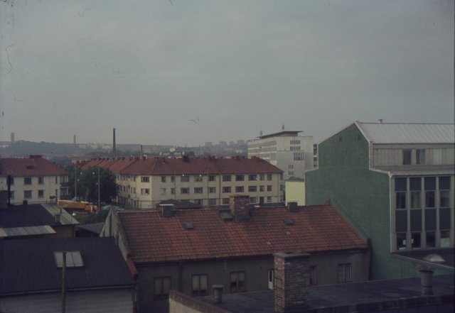 aodia1911977norra_grda_trdet_p_brusewitzg.jpg