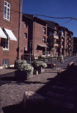 aodia2761989tomtens.jpg