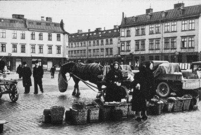 iodia121938rantida_andersson_gps_bergum.jpg