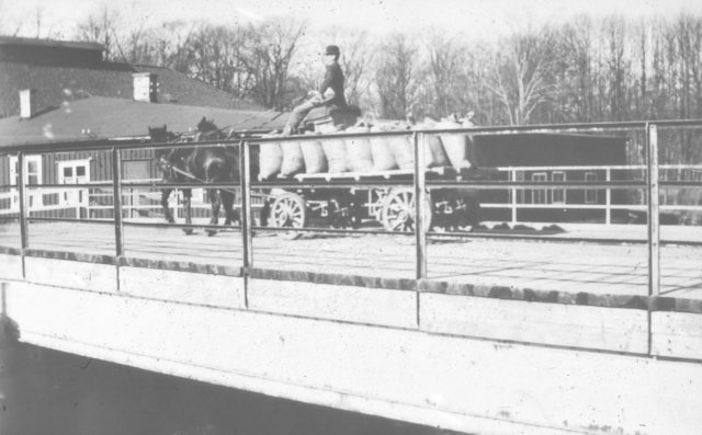 iodia145192xdmmebron.jpg