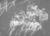iodia2241919borslvsborgs_reg_small.jpg