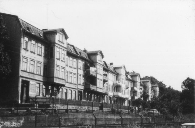 iodia29195xadolfsberg.jpg