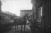 iodia391910zrnenkarlsson_small.jpg