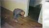 am12232003karbidenarne_jigsten_small.jpg