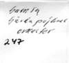 am1247b199xggporkester_small.jpg