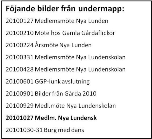 _bild9_2010.jpg
