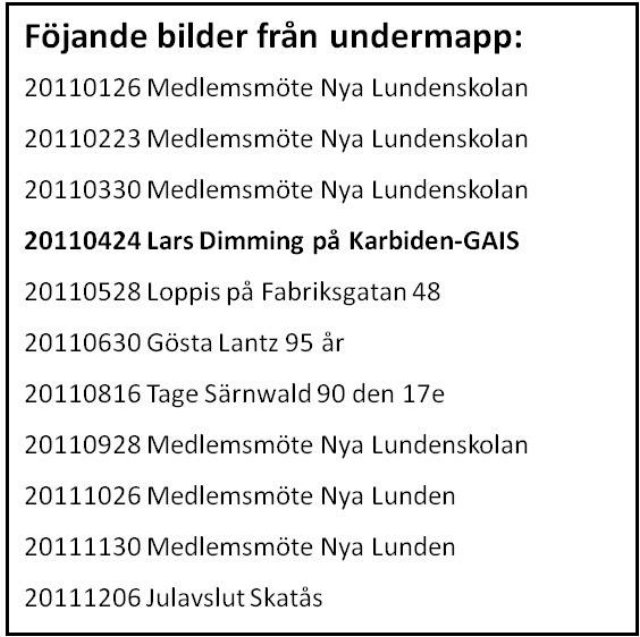 _bild4_2011.jpg