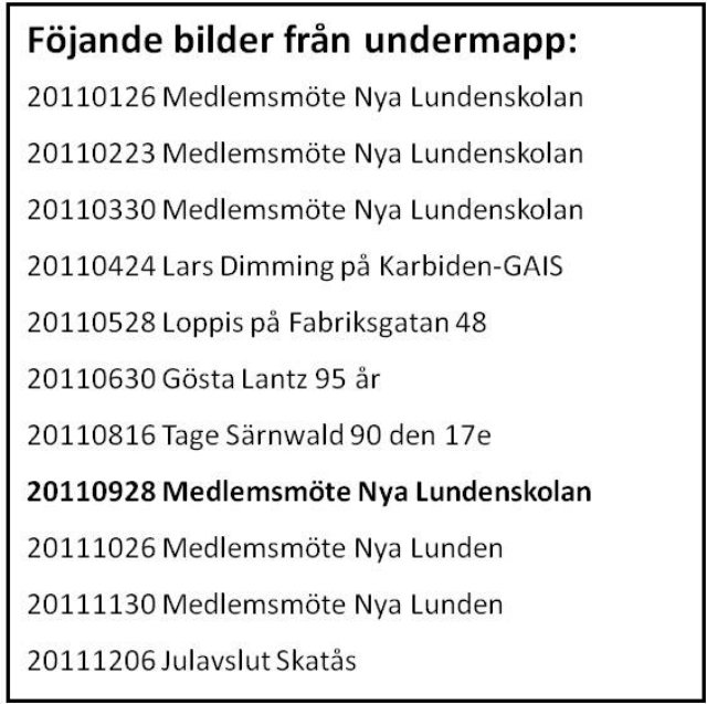 _bild8_2011.jpg
