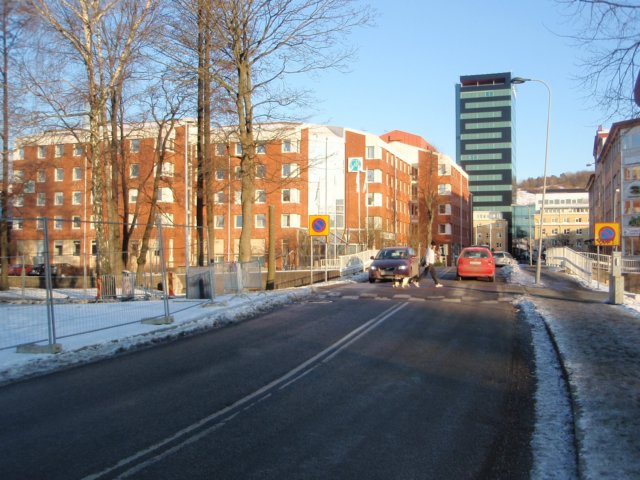 p2010050.jpg
