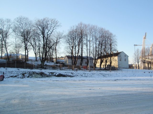 p2010056.jpg