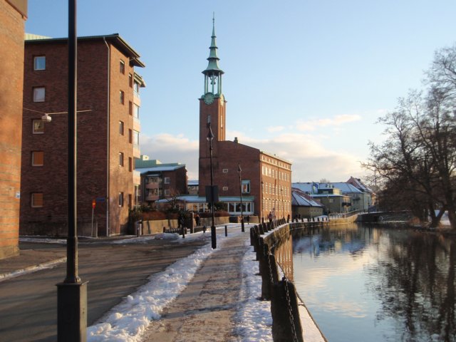 p2010061.jpg