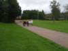 p9040004_small.jpg