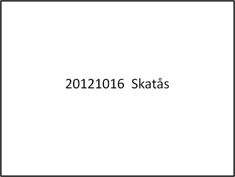 mapp20121016skats.jpg