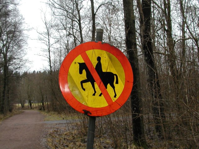 pc030015.jpg