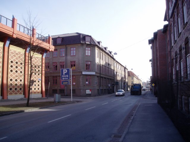 p3200153.jpg