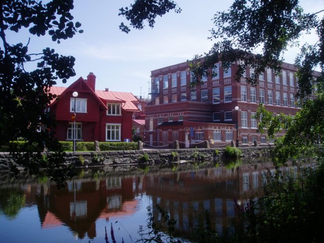 p7170177.jpg