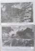 keaam1sid67p1010096_small.jpg